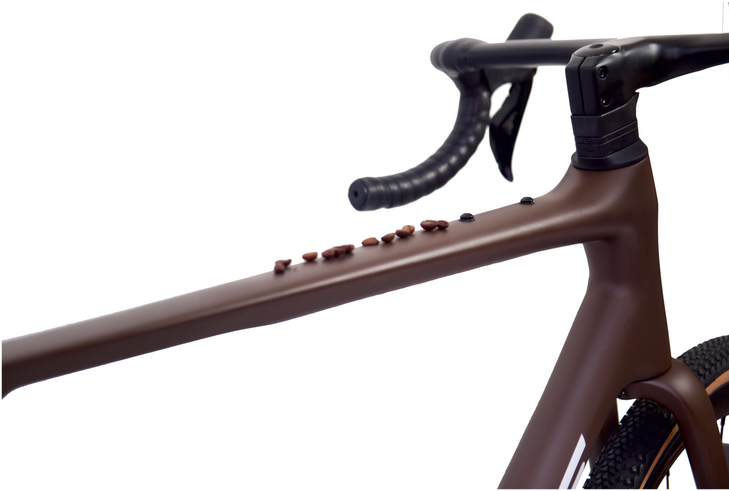 Close-up of the 'Rinos' frame with comparison to coffee bean color