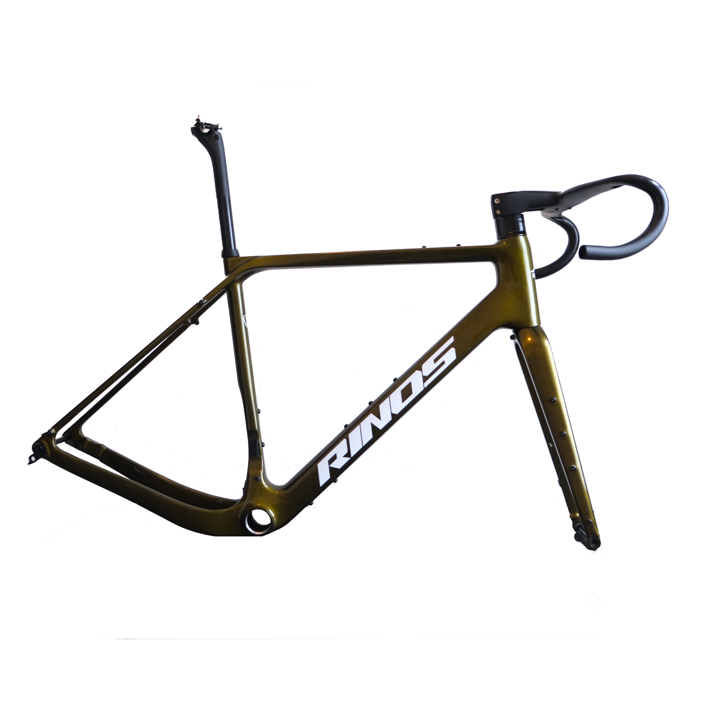 Rinos chameleon gold frame with fork mount in full view